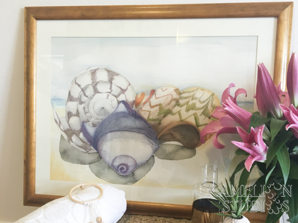 sea shell drawing