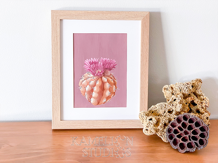 A5 Pincushion Cactus illustration by Kamelion Studios