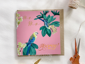 Hip Hip Hooray Greeting Card